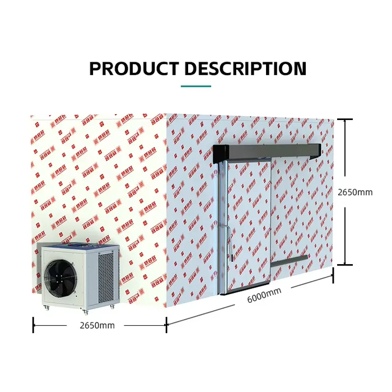 Professional Commercial Food D - Commercial Kitchen Usa review and price