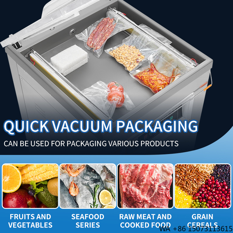 DZ-500  Vertical Single Chambe - Vacuum Sealer review and price